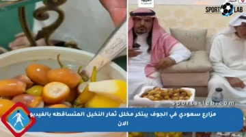 مزارع سعودي في الجوف يبتكر مخلل ثمار النخيل المتساقطة بالفيديو الآن